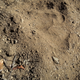 Image for article titled Adventure: Backpack Hunting In The High Sierra